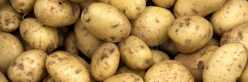one_spicy_potato banner