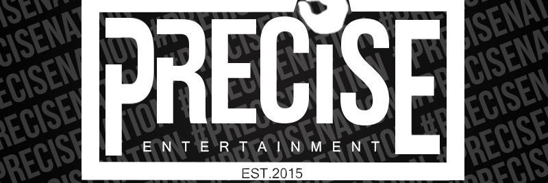 precise_ent868's profile banner image