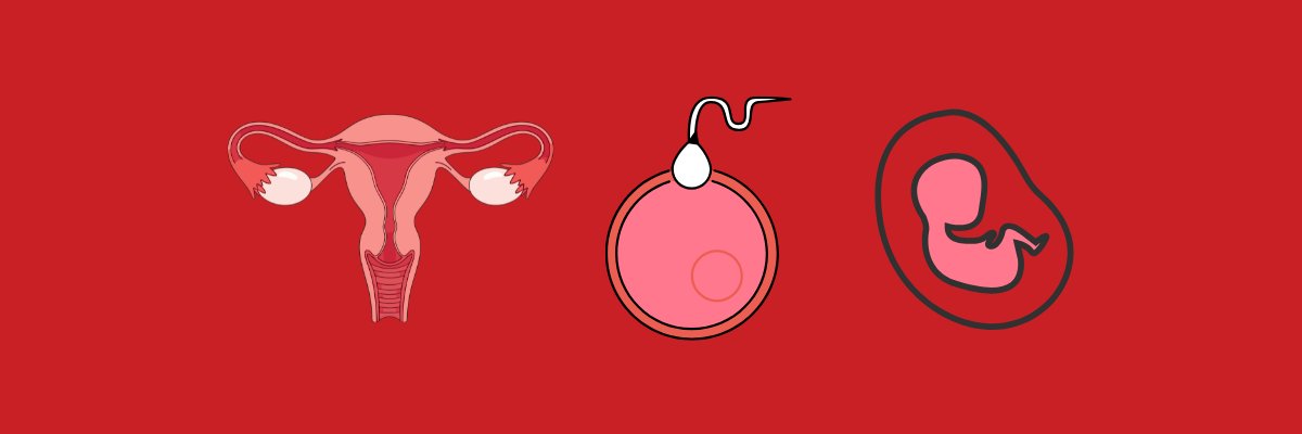 Fertility Sterility banner