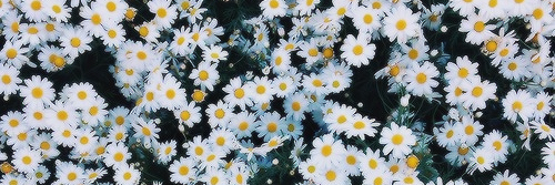 KaremMurillo's profile banner image