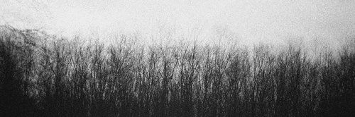 wtfgrrl's profile banner image