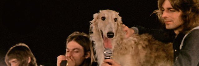 KatelynCreates's profile banner image