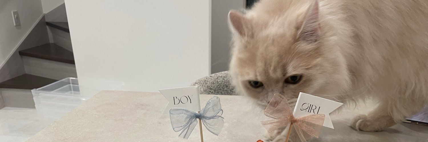coooooiy's profile banner image