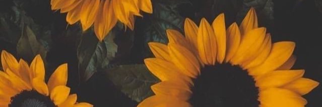 natha_leon's profile banner image