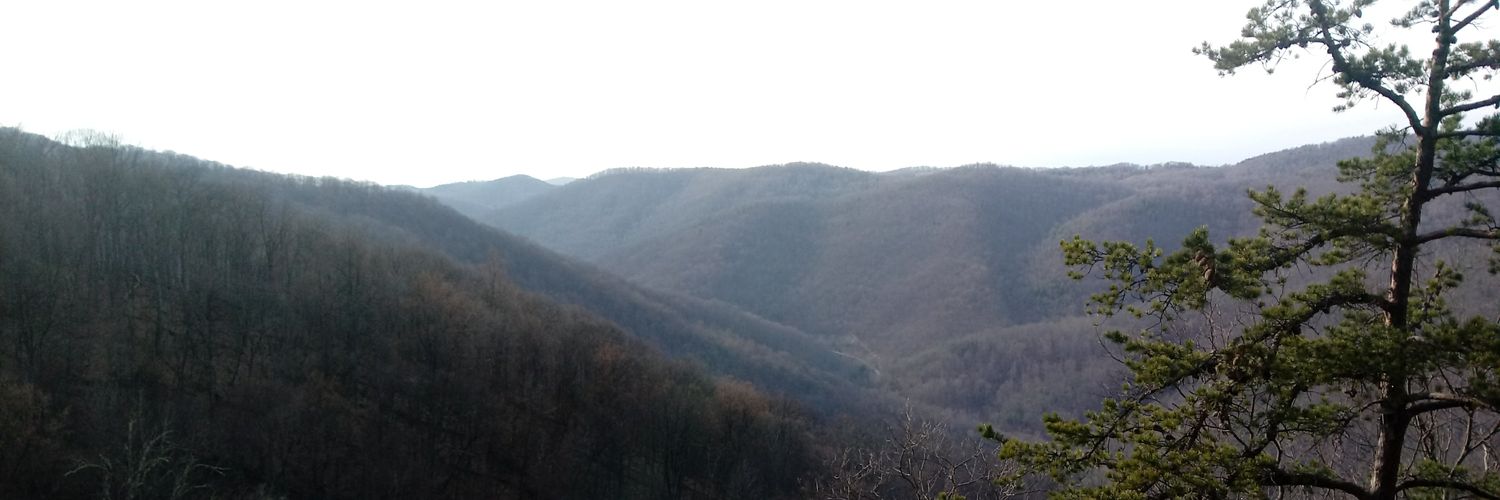 candace_carter4's profile banner image