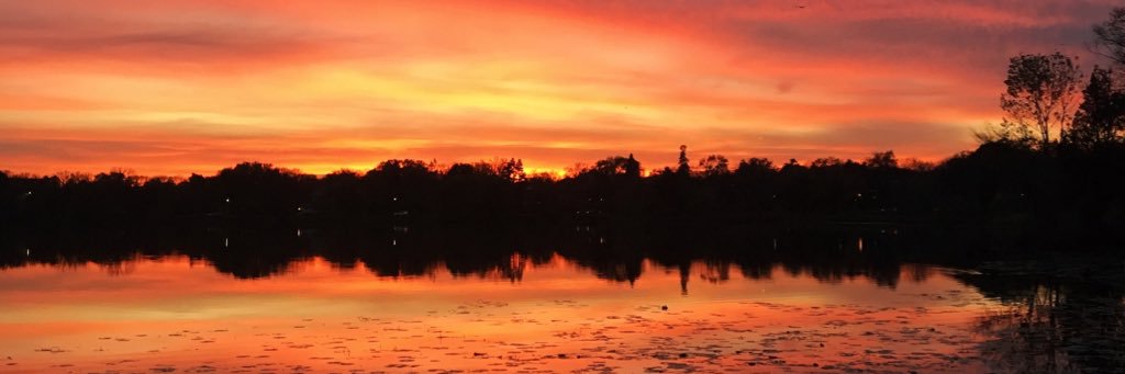 Libby Thelemann banner