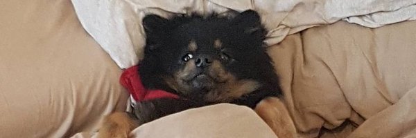 FUCKYOUBAKER Profile Banner