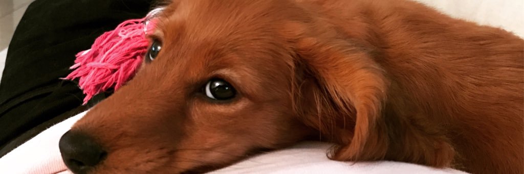 ForsytheMike's profile banner image