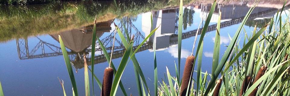 OpenWinsford's profile banner image