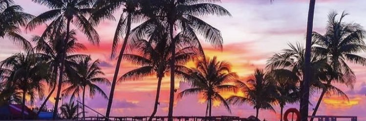 AniieV's profile banner image