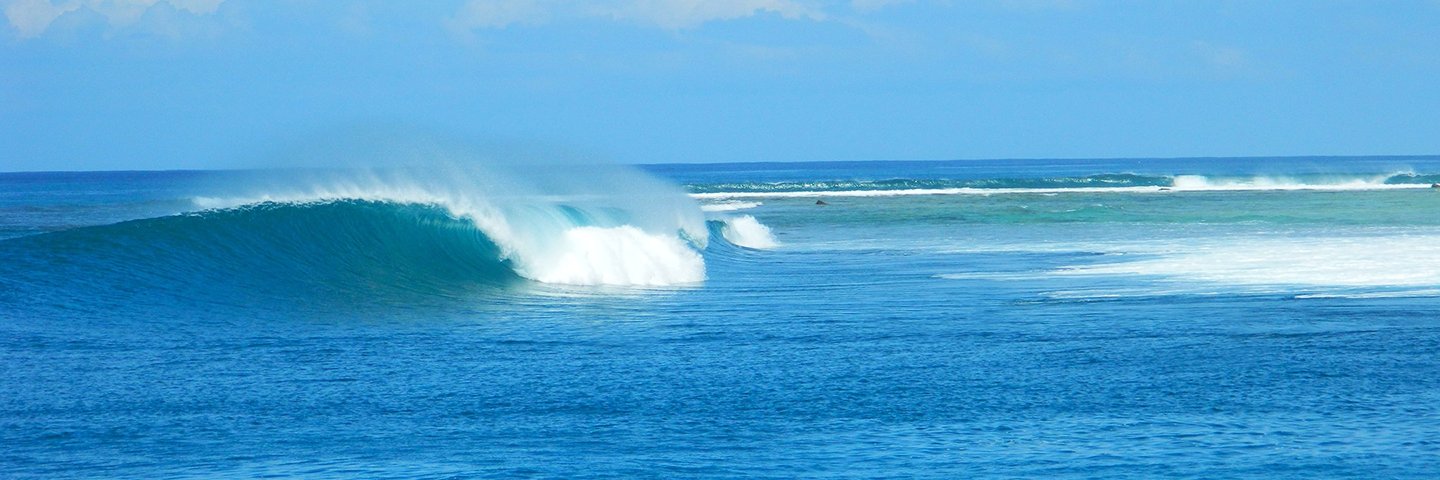 Richard Terry-Lloyd banner