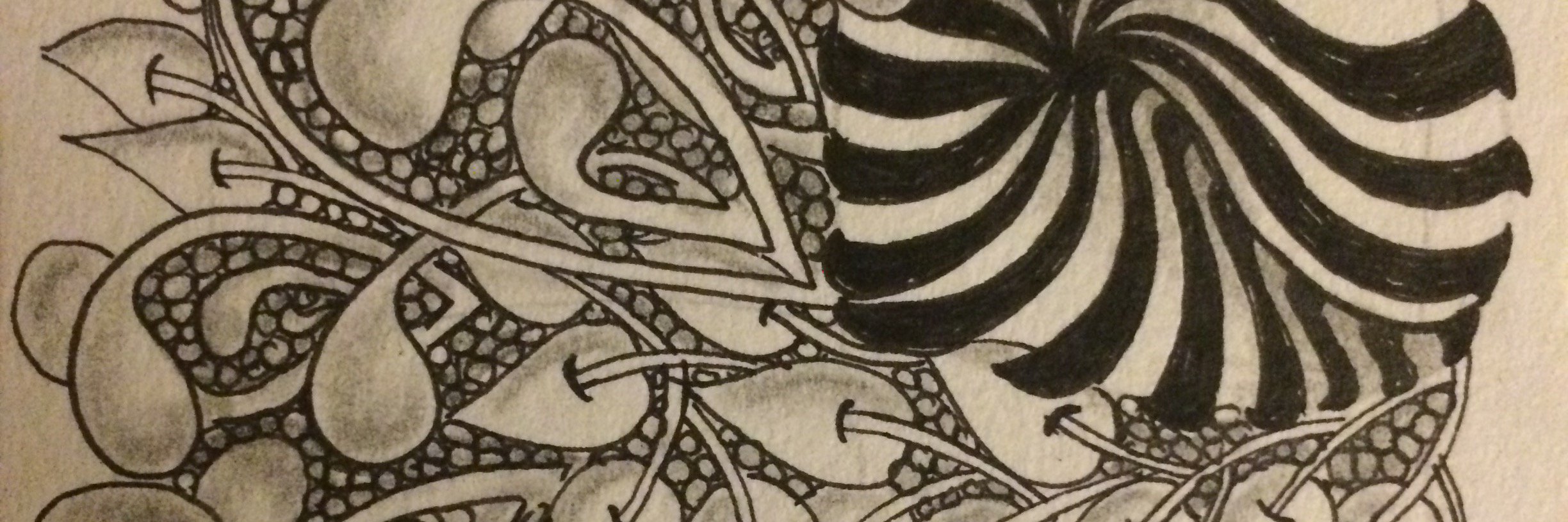 Amy Sekhar♿️ banner