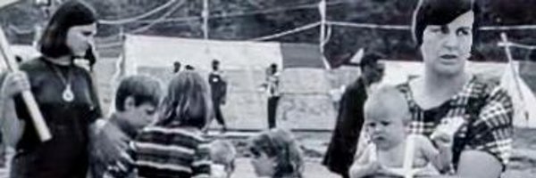 LynnCatWalters Profile Banner