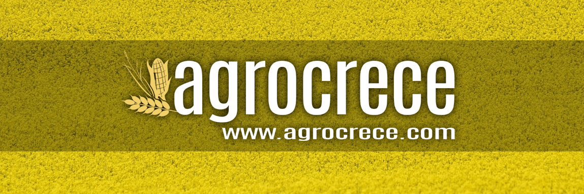 AgroCreceHoy's profile banner image