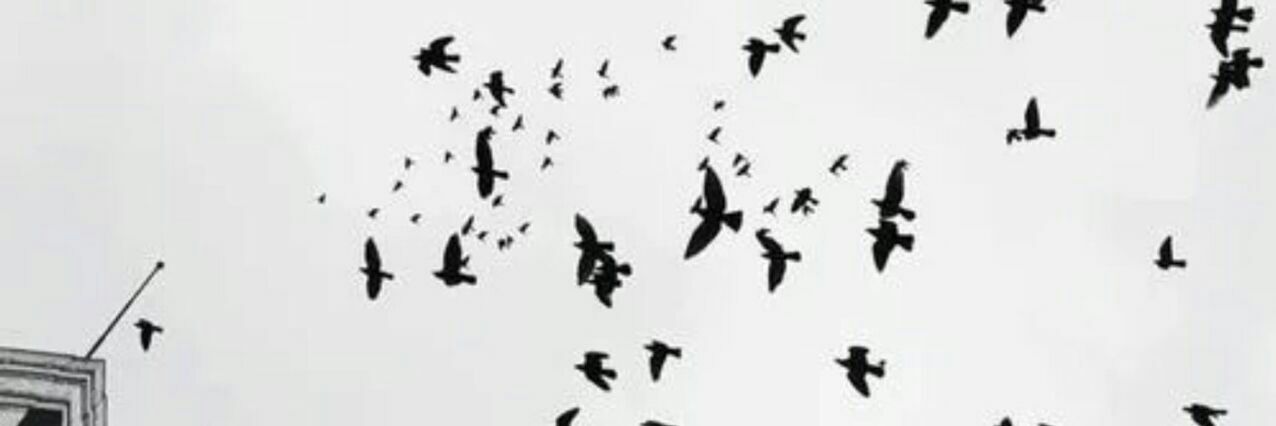 kmlrck's profile banner image