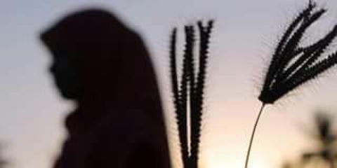 BoraYulinar's profile banner image