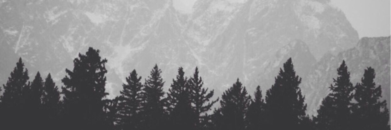 colormecass's profile banner image