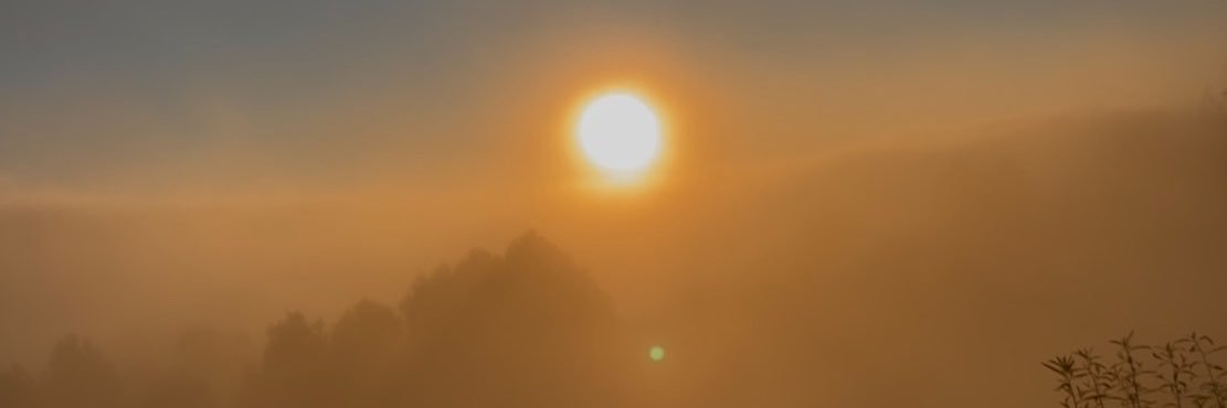 leaannahh's profile banner image