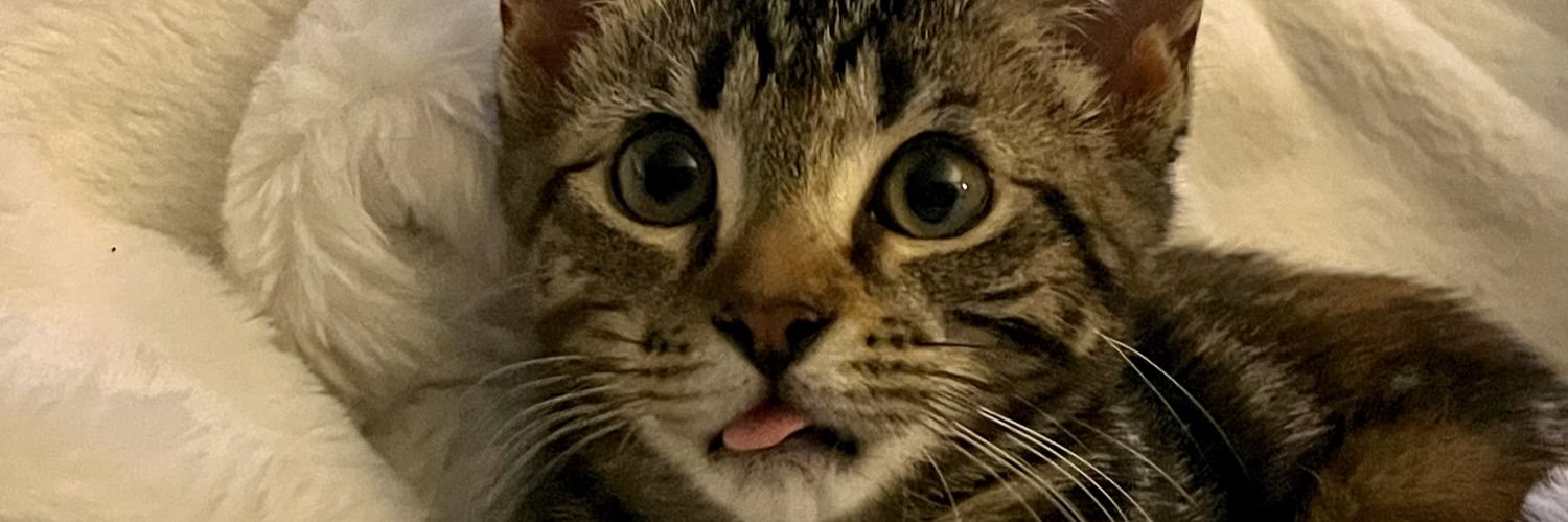 maariahshort's profile banner image