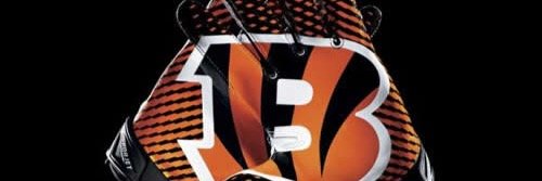 WhoDeyNJ's profile banner image