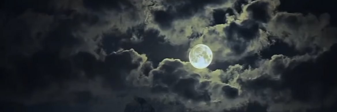 NatureMentor's profile banner image