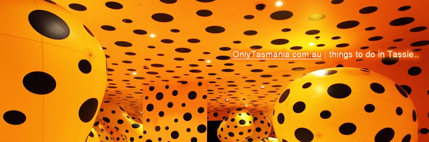 OnlyTasmania's profile banner image