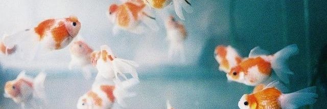 unknow_p440's profile banner image