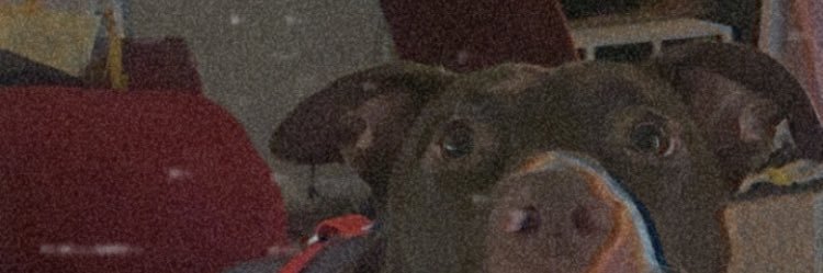 olivexevilo's profile banner image