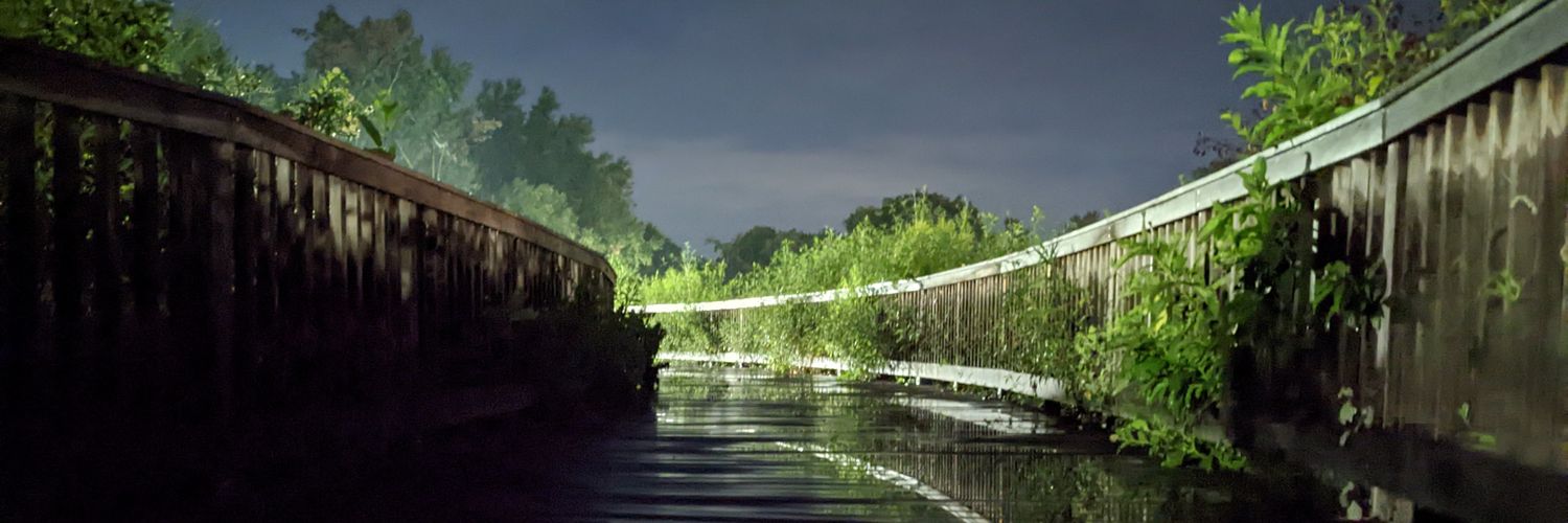 leafysweets's profile banner image