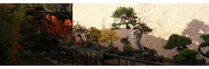 Ginalfp's profile banner image