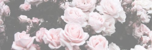 ellonecia's profile banner image