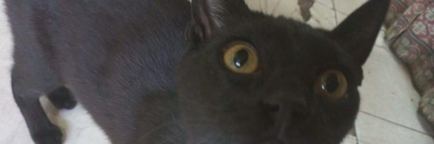 pxxnxc's profile banner image