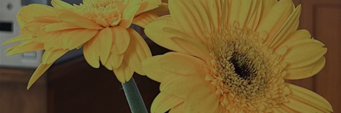 TunaTa9's profile banner image
