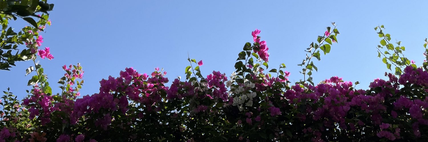 Borixca's profile banner image