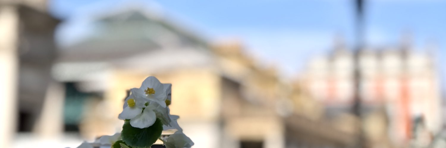 tiffkemp's profile banner image