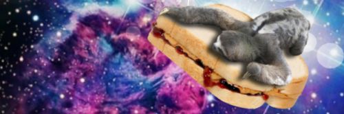 merego_'s profile banner image
