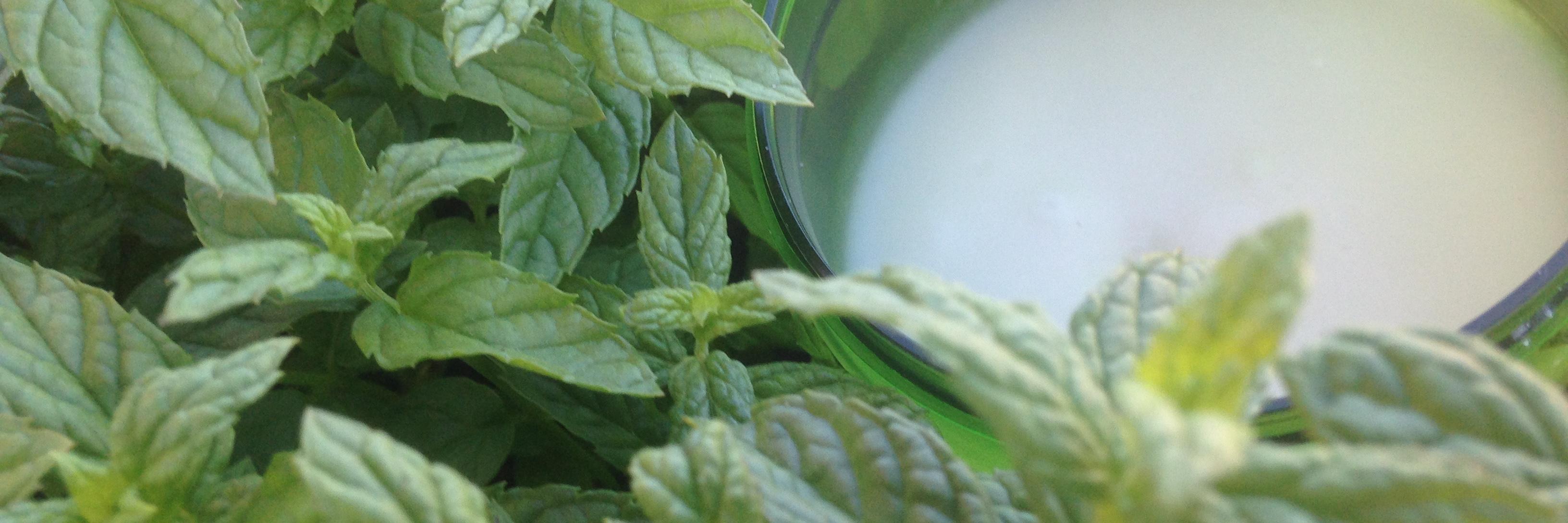 MGreenKarma's profile banner image
