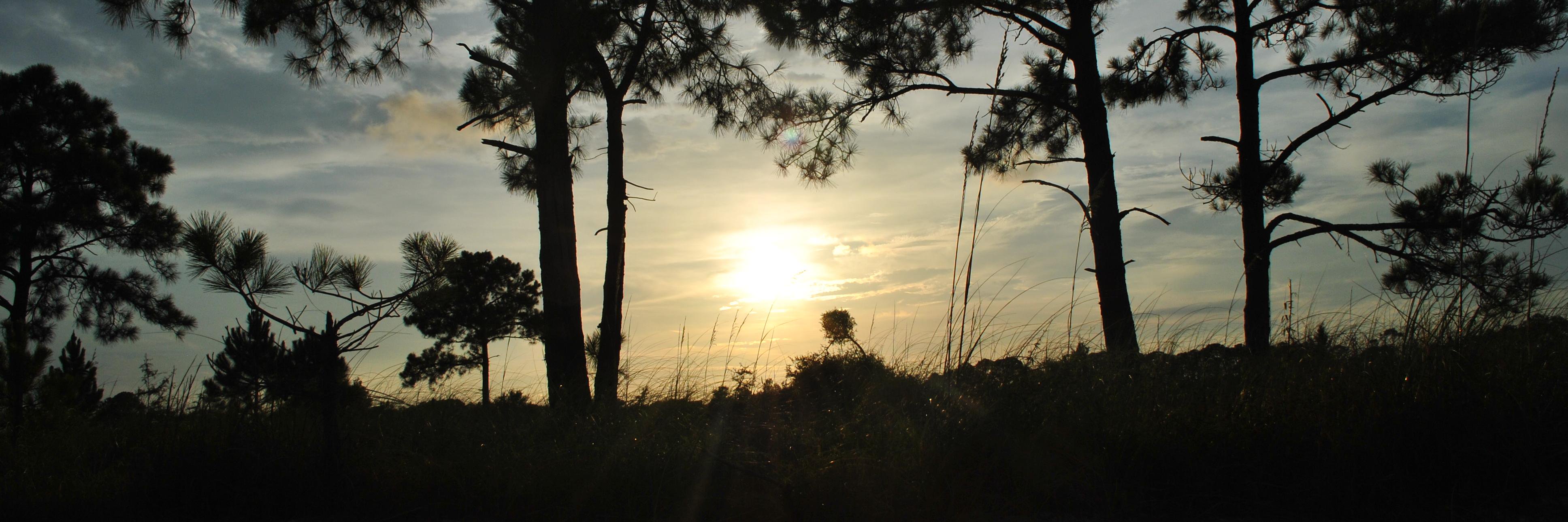 chevelleuga's profile banner image