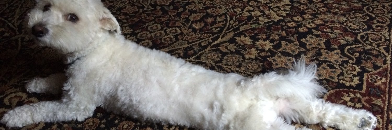 bubsybryant's profile banner image