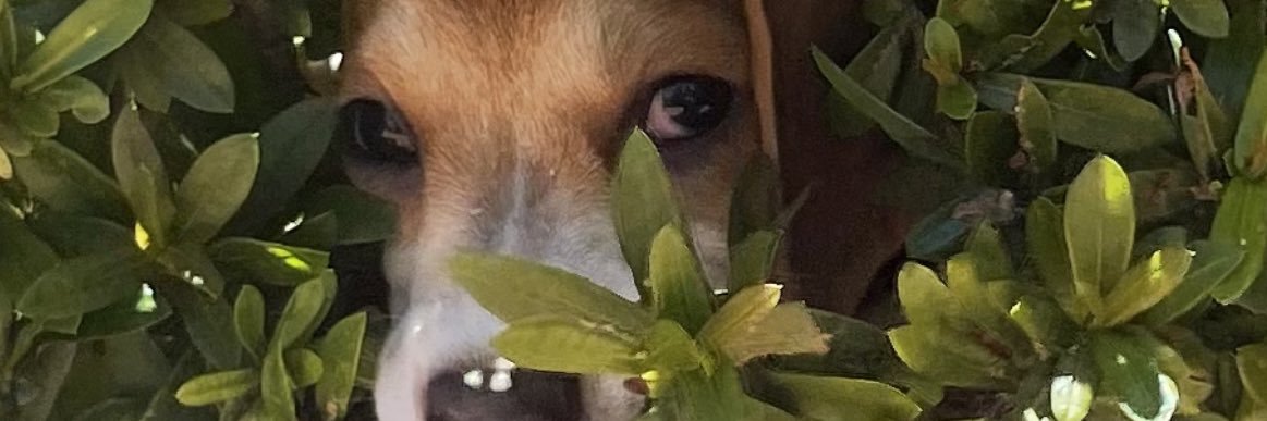 Leamyl_26's profile banner image