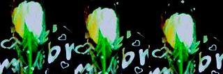 MayraniDini's profile banner image