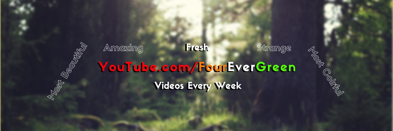 4EverGreens's profile banner image