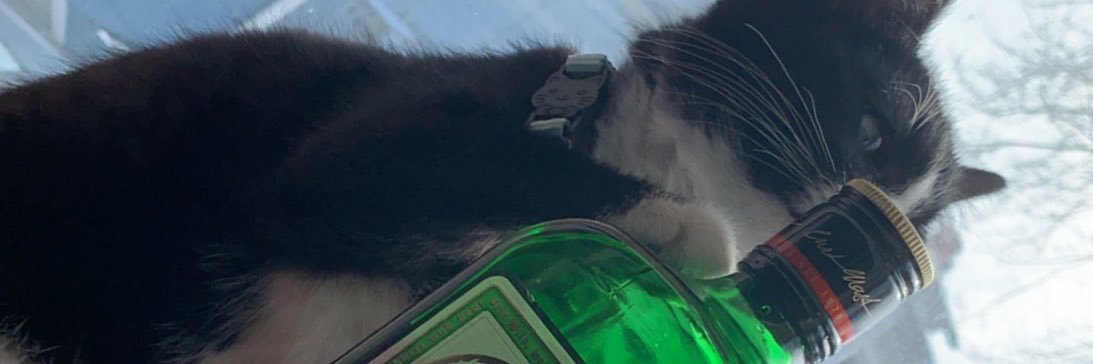 Dylan Feltman banner