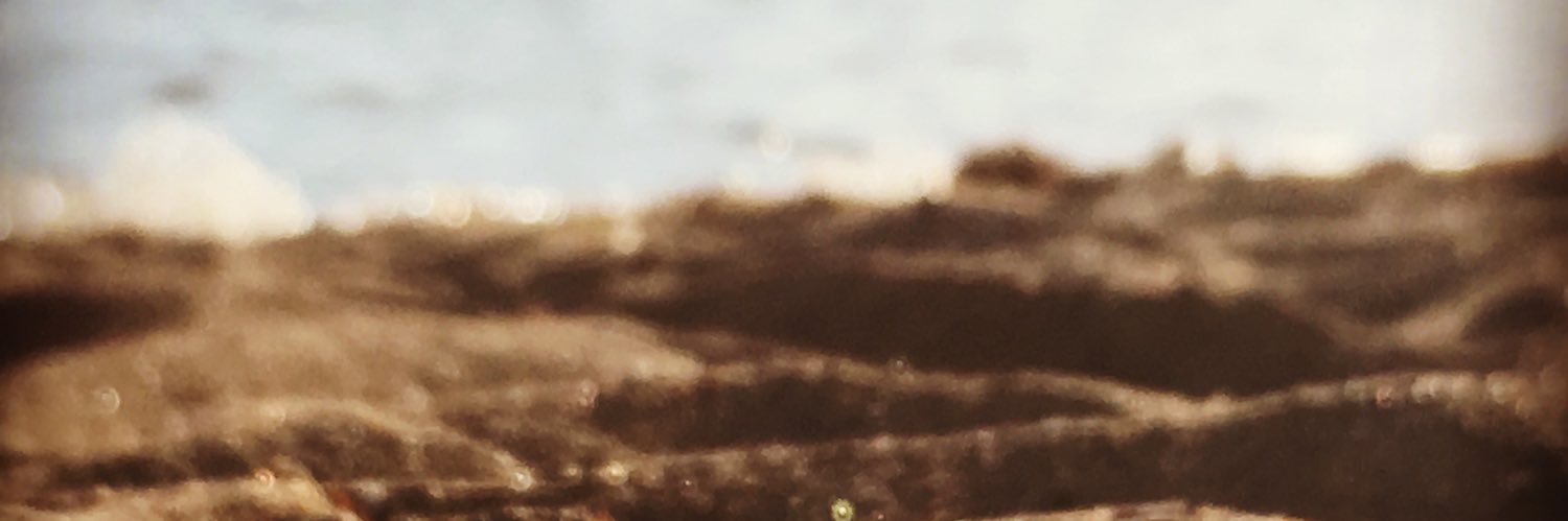 MoramDaSeSmirim's profile banner image
