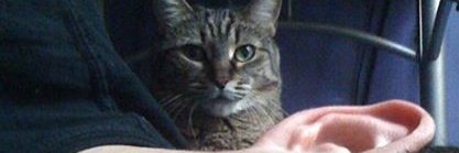 DevonJames1701's profile banner image