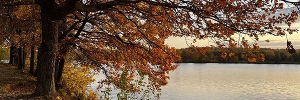 Foutrh Profile Banner