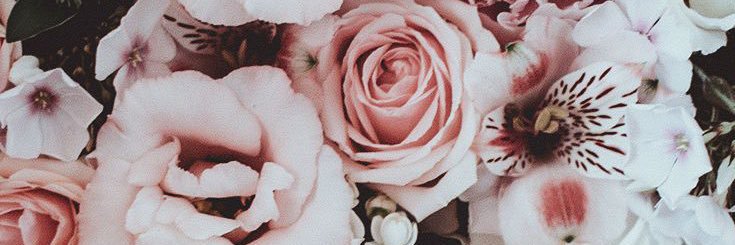 ___kleshay's profile banner image