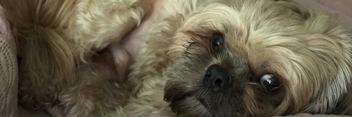 dudaacostap's profile banner image