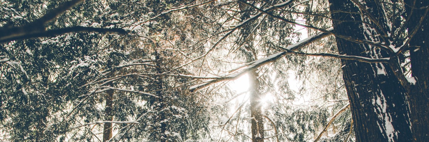 chellarh_'s profile banner image