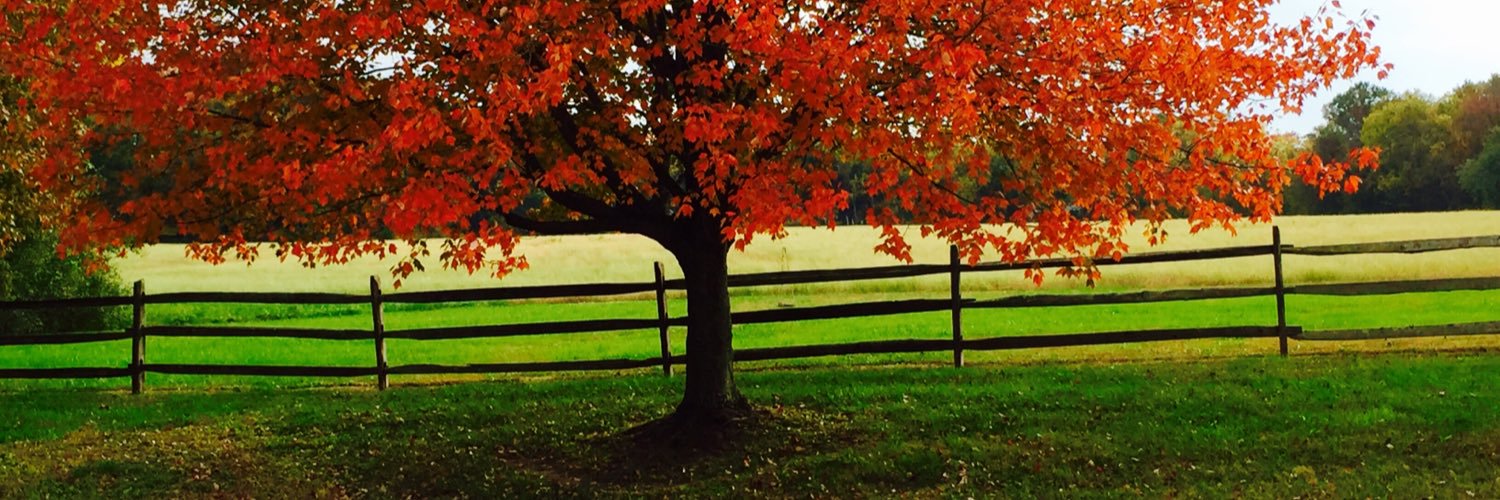 mmmonk53's profile banner image